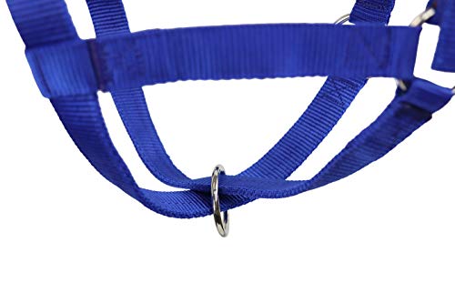 Derby Originals Adjustable Nylon Livestock Cattle Halters - color: Royal Blue, size: Small (250-500lbs)