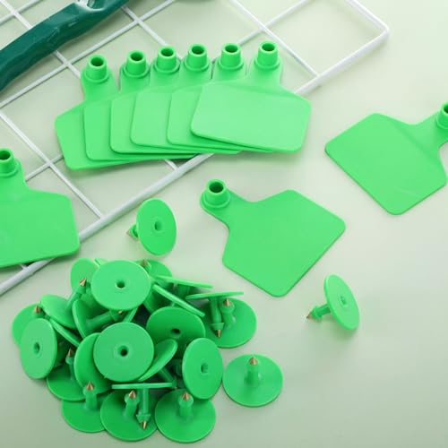 Lothee 100 Pcs Blank Cattle Ear Tags Large Plastic Precision Animal Identification Blank Livestock Ear Tags for Cattle Cow Horse Dog Pig Goat Sheep Farm Management (Green) - color: Green