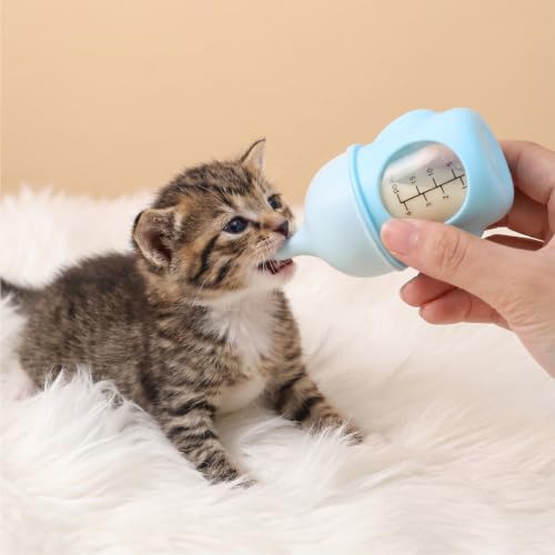Kitten Bottles for Nursing 20ml Kitten Feeding Bottle Milk Slow Flow (Blue) | Slow Flow Puppy Bottles for Newborn Kittens Small Animals Nursing, Soft Silicone Nipple Feeding Kit