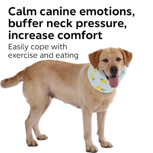 LovinPet Dog Recovery Collar, Adjustable Soft Cone for Medium & Large Dogs, Post-Surgery Comfort & Lick Prevention, Ducks with Hats Print,Blue