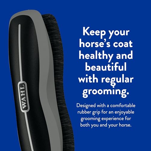 Wahl Professional Animal Equine Stiff Body Horse Brush, 858705, Black | Effortlessly Removes Mud, Sweat, and Dirt, Comfortable Rubber Grip, Easy to Use and Fits Comfortably Your Hand - color: Black