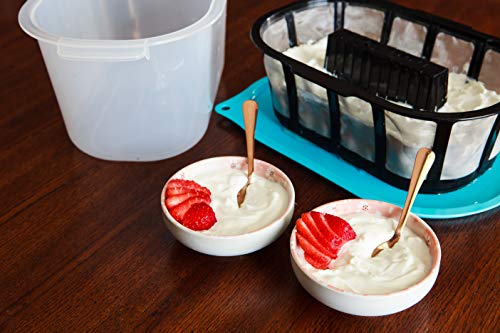 Hatrigo 1-Gallon Greek Yogurt Maker with Extra Fine Mesh BPA-Free Large Stainless Steel Strainer, Makes Thick Creamy Greek Yogurt (14 x 10 x 7 in) - size: 4 Quart (1 Gallon)
