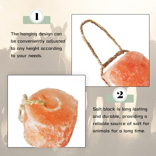 Animal Salt Lick Block on Rope for Horses,Deer,Cattle,Sheep Livestock Natural Organic Mineral Intake Long Lasting Himalayan Deer Salt Block(1 Pcs,2.4-3.3 lbs)