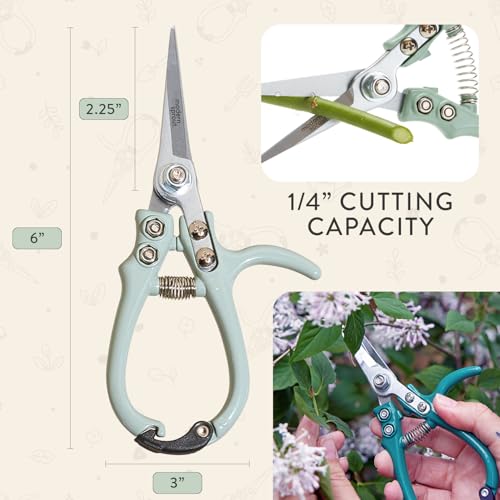 Modern Sprout Pruning Shears - Garden Snips - Herb Scissors - Sage 1-Pack | Lightweight Gardening Tool - Durable Carbon Steel Blade W/Easy-Lock - Gardening Supplies - Flower Cutter - Reusable Holster - color: Sage