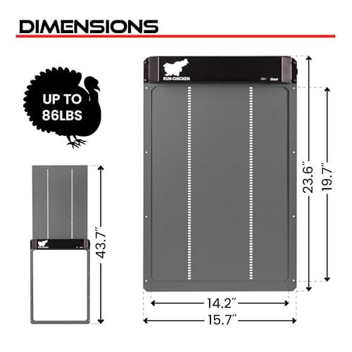 RUN-CHICKEN Door Giant – Large Automatic Poultry Coop Door for Ducks & Turkeys, Not for Chickens, Battery Powered/Solar Compatible, Heavy-Duty Aluminum, Predator Proof, Easy Install (Gray)
