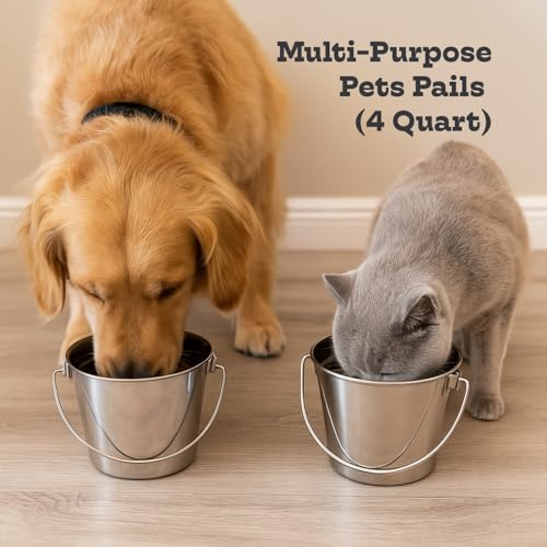 4Qt Heavy Duty Stainless Steel Water Bucket for Kennel, 2-Pack | Food & Water Pail, 1 Gallon Capacity, Heavy-Duty, Round Design with Carry Handle, Ideal for Dogs, Cats, Goat & Farm Animals - size: 4 Quart (Pack of 2)