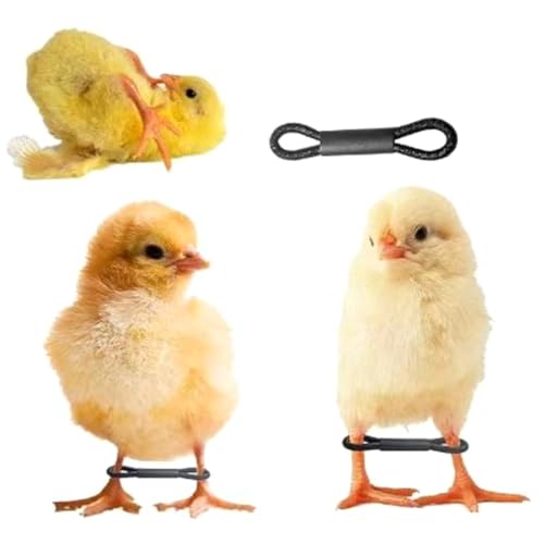 50/100Pcs Spreader Legs Chick Clip for Splayed Birds Hobble Bands Canaries Smaller Budgies Chicken Leg Brace for Spraddle Leg Repair - color: B