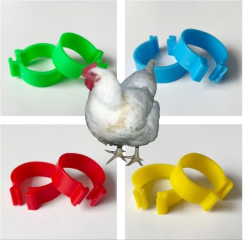 Large Poultry Leg Rings, 80 Adjustable Leg Rings, Suitable for Poultry Such as Chickens, Ducks, Guinea Pigs, Geese, Wild Chickens, Turkeys, etc., with a Size of 20mm