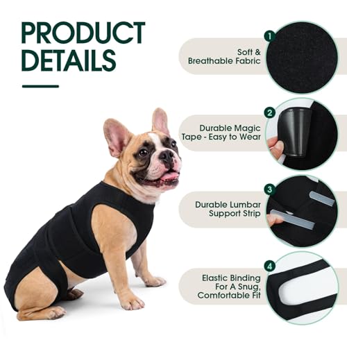 Dog Back Brace for IVDD Recovery, Adjustable Dog Spine Support Harness for Dachshund Corgi French Bulldog Pug, Pain Relief Back Protector for Senior,Post‑Surgery,Long‑Bodied & Overweight Dogs, XL - size: X-Large