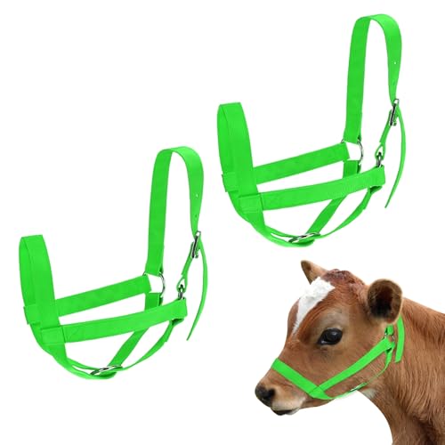 M METERXITY 2-Pack Adjustable Cattle Cow Calf Halter, 15.74"-19.68" Nylon Livestock Cow Halter for Miniature Horse/Donkey/Goat/Cattle [Green]