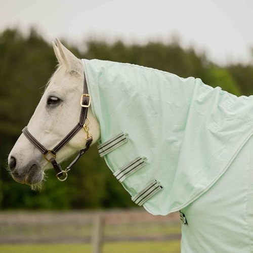 Equinavia Brisk Mesh Horse Fly Sheet with Neck Coverage, UV Protection | Cool Breathable Equine Fly Sheet for Horses, Horse Turnout Sheet Against Pests, Insects and Sun Exposure, Misty Jade - color: Misty Jade, size: 84 in