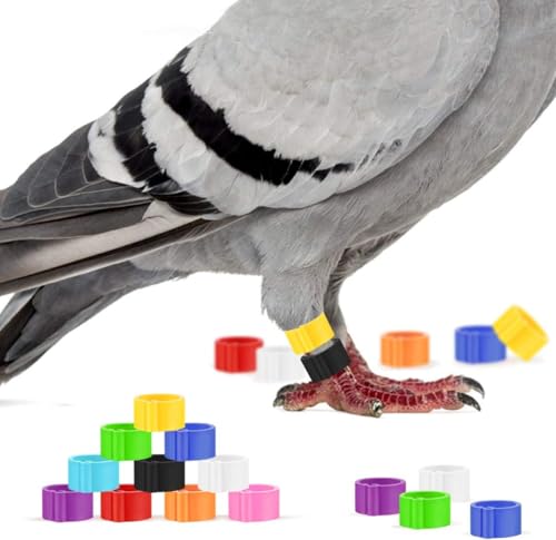 50 Pcs Poultry Leg Bands - Multi-Color Clip-On Rings for Bird Identification | 8mm Diameter Foot Bands for Ducks, Chicks, Pigeons, and Parrots