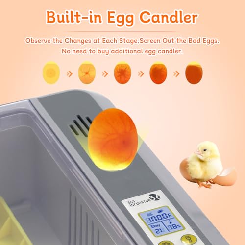 Automatic Egg Incubator, 36 Egg Capacity | Automatic Egg Turner, Thermometer Control & Humidity Control, Egg Candler, 360° View, For Hatching Chicks