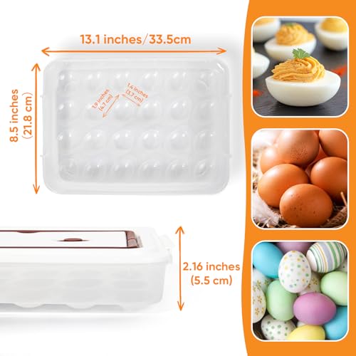 Deviled Egg Containers with Lid, (Set of 2), Plastic Tray Carrier with Handle, Holds Up to 48, Clear Storage Platter for Devil Egg, Portable Fridge Stackable Platter Holder