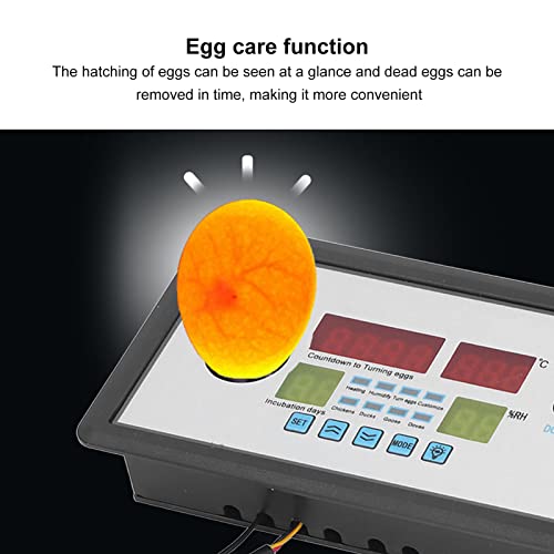 Fdit Intelligent Incubator Thermostat Controller, Digital Automatic Temperature Humidity Monitor with Alarm Egg Light Countdown Timer 12V ABS 150 x 88 x 30 mm for Egg Hatchers