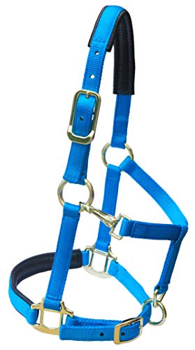 T TEKE Adjustable Horse Halters by Heavy Duty Soft Nylon, Padded with Anti-rubbing Waffle Neoprene on Both Crown & Nose - color: Purple, size: XXS Pony
