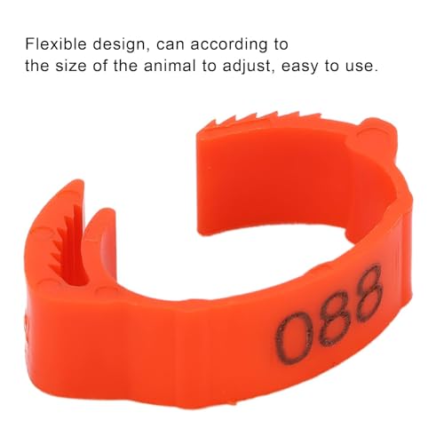100Pcs Chicken Leg Rings, 5 Colors Readable Numbered Chicken Identification Leg Bands Card Slots Design Poultry Leg Tags for Chicks Ducks (Red (100 Pieces per Pack)) - color: Red (100 Pieces Per Pack)