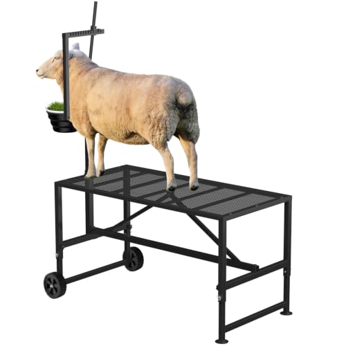 Upgraded Goat Stand with Wheels & Feed Bin, Adjustable Headpiece | Goat Milking Stand for Sheep Trimming and Milking, Hoof Trimming Stand Adjustable Size, with Feeder, Iron Black - color: Black, size: L - 47 inch (with Wheel)
