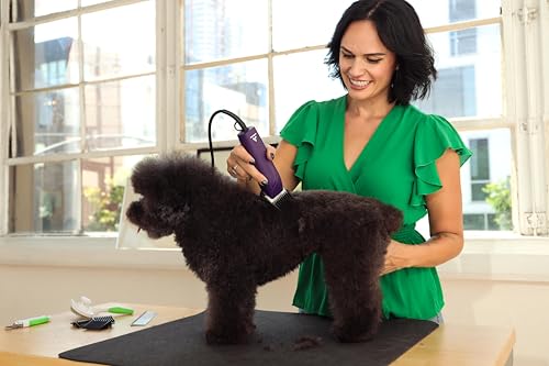 Andis 24820 EasyClip 7-Piece Detachable Ceramic Blade Clipper Kit, Purple | Single-speed quiet comfortable motor, 12ft power cord, dog grooming kit with 4 combs - style: New Model