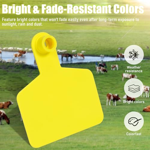 Blank Ear Tags 100 Pieces Livestock Identification Tags Blank Livestock Ear Tags for Cattle Cow Pig Goat Sheep Dog (Yellow 3x2.44'') - color: Yellow 3x2.5''