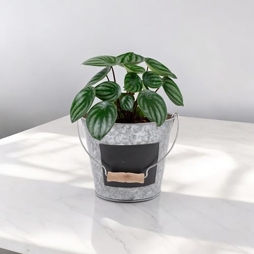 Hosley Set of 2 Metal Pail with Chalkboard and Plastic Liner 7" Dia x 6" H. Ideal Gift for Floral Arrangements Wedding House Warming Floral Planter DIY Craft Home Office Party Garden Patio (Pack of 2) - size: 2 count (Pack of 2)