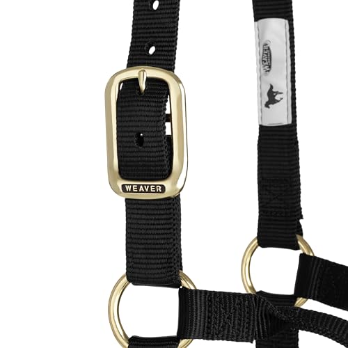 Weaver Leather Original Non-Adjustable Nylon Horse Halter, Black, Yearling