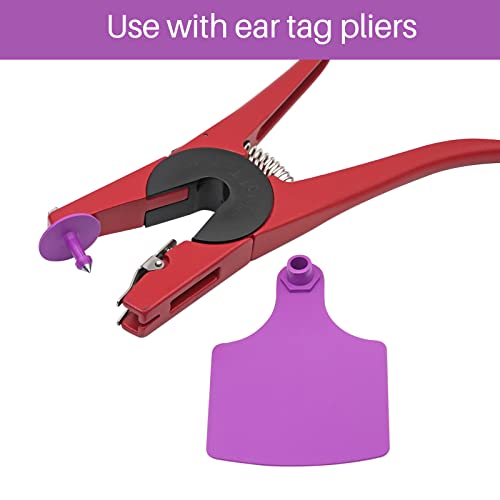 4.1" L×3.5" W Cattle Ear Tags Big Blank 100PCS Livestock Identification TPU | Cow Ear Tags for Cattle Laser Tags for Cows Pigs Hog Goats Sheep Calf Animal Goat Sheep Earring Tags Non-fading (Purple) - color: 1-purple