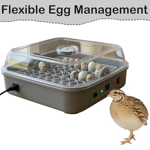 Custom Quail Egg Turner Tray Compatible with Maticoopx 20 Egg Incubator | Precision Fit Hatching Accessory for Small Eggs, 11 Slot Small Egg Tray Accessory - Durable Grey (M20) (Tray Only） - color: M20
