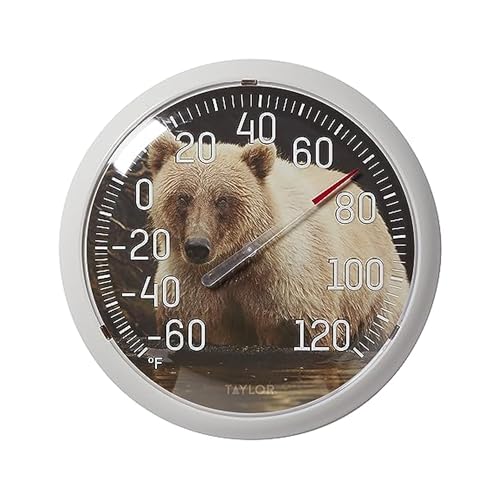 Taylor Nature Series Bear Indoor Outdoor Dial Thermometer, Easy to Read Wall Decor for Patio, Pool, Yard, Garden or Garage, 13.25 Inch, Tan Bezel - style: Bear