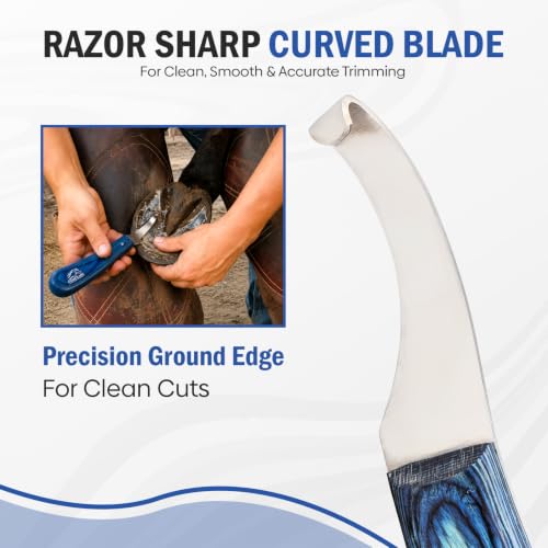 Equine Care Right-Handed Hoof Knife, J2 Stainless Steel, Farrier Tool | Right- or left-handed hoof knife for horses, goats, sheep and cattle; J2 stainless steel curved blade; 9 in overall