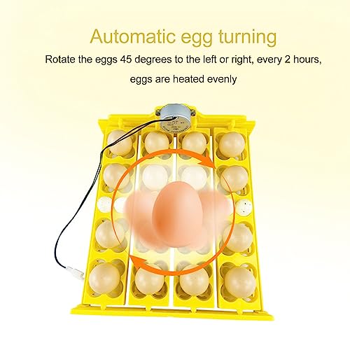 Egg Turning Tray, Incubator Chicken Multifunction Automatic Turner Tray Quail Incubation, Incubators for Hatching Eggs (DC12V) - size: DC12V