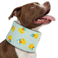 LovinPet Dog Recovery Collar, Adjustable Soft Cone for Medium & Large Dogs, Post-Surgery Comfort & Lick Prevention, Ducks with Hats Print,Blue