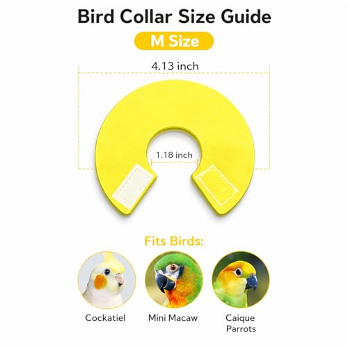 4pcs Bird Cone Collar Cockatiel/Sun Conure | Bird Elizabethan Collar for Wound Biting Prevention&Feather Plucking, Protective Recovery Cone for Lovebird Cockatiel Parrots - size: M