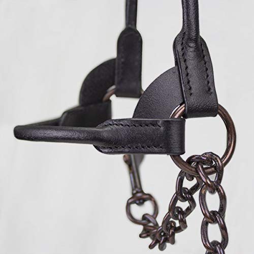Derby Originals Bronze Beauty Rolled Leather Cattle Show Halter, Small/Medium/Large, Adjustable Fit with 48" Lead and 14" Chain, Durable Bronze Hardware, Ideal for Shows, 1-Year Warranty