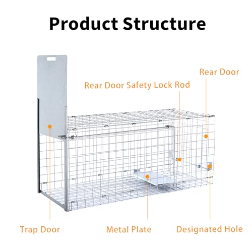 Timaze 42" Large Foldable Humane Live Animal Trap Cage | Heavy-duty foldable animal trap cage,suitable for dogs,foxes and coyotes weighing up to 38 pounds