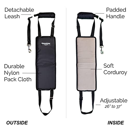 GINGERLEAD Dog Sling Hip Lift Support Harness, Tall Female, Made in USA | Fits Tall, Lean Dogs like Greyhounds or Great Danes, Padded Mobility Aid, Help Pets Walk or Balance, Machine Wash & Dry - size: Tall - Female