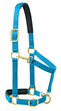 Weaver Leather Padded Adjustable Chin and Throat Snap Halter, 1" Average Horse or Yearling Draft, Solid Blue