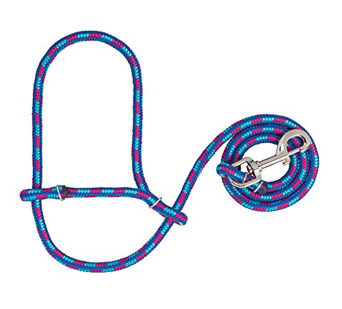 Weaver Leather Livestock Poly Rope Sheep Halter with Snap, Hurricane Blue/Royal Blue/Rose, Average - color: Hurricane Blue/Royal Blue/Rose