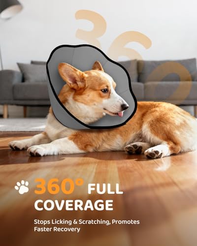 MIDOG Dog Cone Collar After Surgery, Soft Dog Cone Alternative to Stop Licking,Adjustable Elizabethan Recovery Cones for Small to Large Sized Dogs - color: Grey, size: XS
