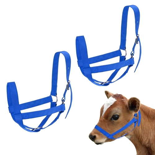 M METERXITY 2-Pack Adjustable Cattle Cow Calf Halter, 15.74"-19.68" Nylon Livestock Cow Halter for Miniature Horse/Donkey/Goat/Cattle [Blue]