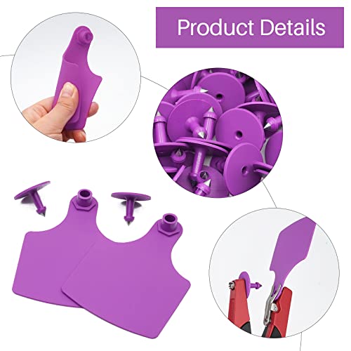 4.1" L×3.5" W Cattle Ear Tags Big Blank 100PCS Livestock Identification TPU | Cow Ear Tags for Cattle Laser Tags for Cows Pigs Hog Goats Sheep Calf Animal Goat Sheep Earring Tags Non-fading (Purple) - color: 1-purple