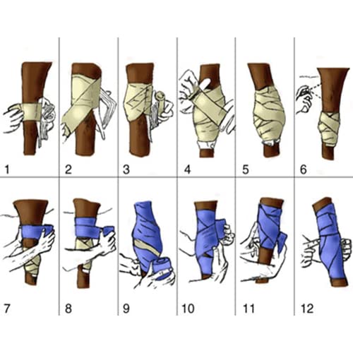 Elastic Polo Leg Wrap Compression Bandage for Horses, Dogs, Cats, Sheep, Cow, Dog Wound Care, Vet Wrap - color: Black