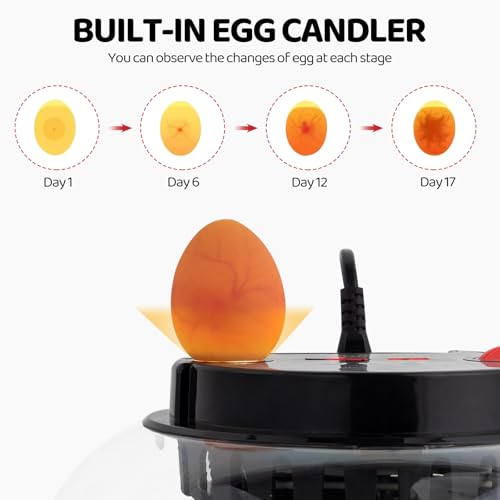 US 12-Egg Incubator with Automatic Egg Turning, Temperature & Humidity Control, Auto Water Addition & LED Egg Candler - Hatching Machine for Chicken, Duck, Goose, Pigeon, Quail & Bird Eggs