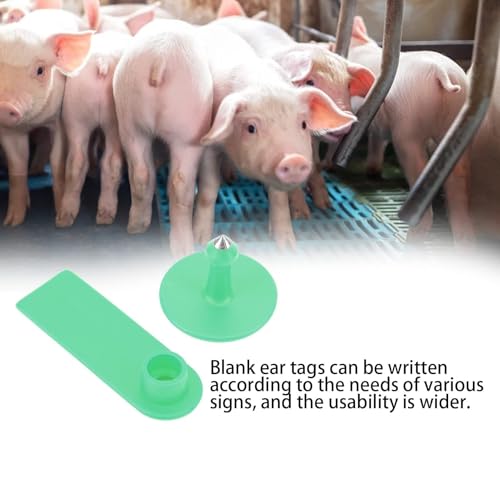 100PCS Cattle Ear Tags, Blank Cattle Ear Tags TPU Cow Ear Tags Farm Goat Ear Tags Livestock Large Size Livestock Identification Ear Tags for Identification Cattle,Sheep Goat, Pig(Green) - color: Green