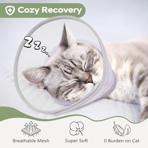 Cat Cone Collar Soft: Comfortable Waterproof Mesh Recovery Cone After Surgery to Stop Licking and Scratch, Alternative to Plastic Elizabeth Head/Neck Cone - color: Purple, size: M