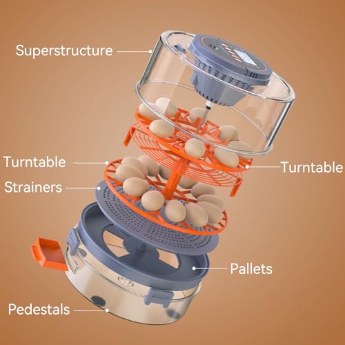 Egg Incubator for Hatching 18 Eggs with Auto Turning, Humidity Sensor, 5 Preset Modes, Transparent Lid for Observation, Ideal for Family Projects, Science Classrooms, Chickens Ducks Quails (Orange)