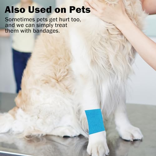 Bandages First Aid Tape Cohesive Bandage First Aid Bandages Cohesive Wrap Adhesive Bandage Self Adherent Cohesive Wrap Bandages Colorful Bandages (Mix6-A, 2-Inch) - color: Mix6-a, size: 2-Inch