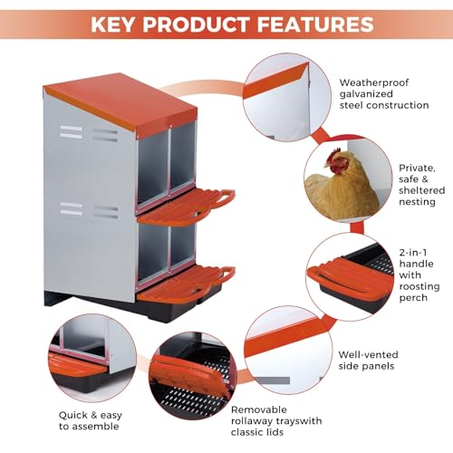 4-Hole Double Layer Chicken Nesting Box, Roll Away Nest with Removable Tray, Easy Egg Collection & Cleaning, Wall-Mount Nesting Boxes for Hens, Chicken Coop - Orange - color: Orange-4 Compartments double layer