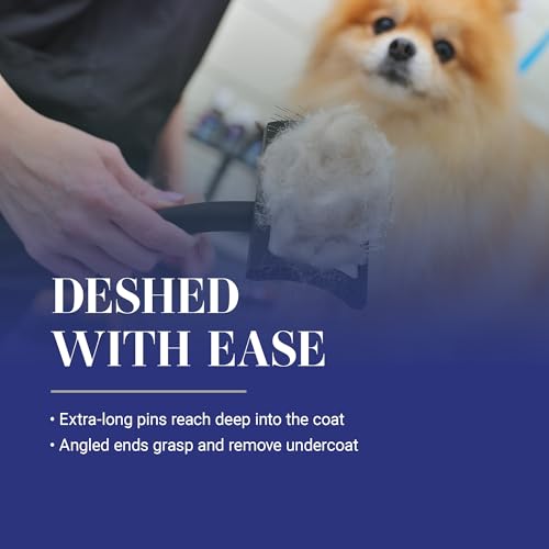 Chris Christensen Big K Dog Slicker Brush for Dogs (Goldendoodles, Labradoodles, Poodles), Groom Like a Professional, Fluff Detangle Style, Saves Time Energy, Black, Medium - color: Black, size: Medium