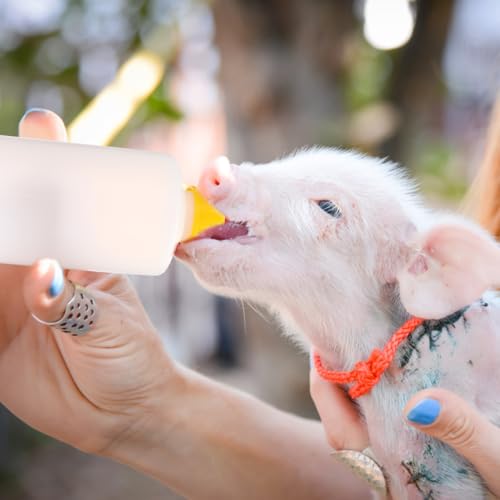 VOSAREA 1 Set Goat Feeding Bottles 400ml Plastic Lamb Milk Bottles Livestock Nursing for Farm Use